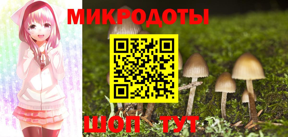 Псилоцибиновые грибы мицелий  Вход с VPN  Псилоцибиновые грибы прущие грибы  Коммунар 