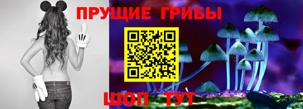 Псилоцибиновые грибы MAGIC MUSHROOMS Коммунар